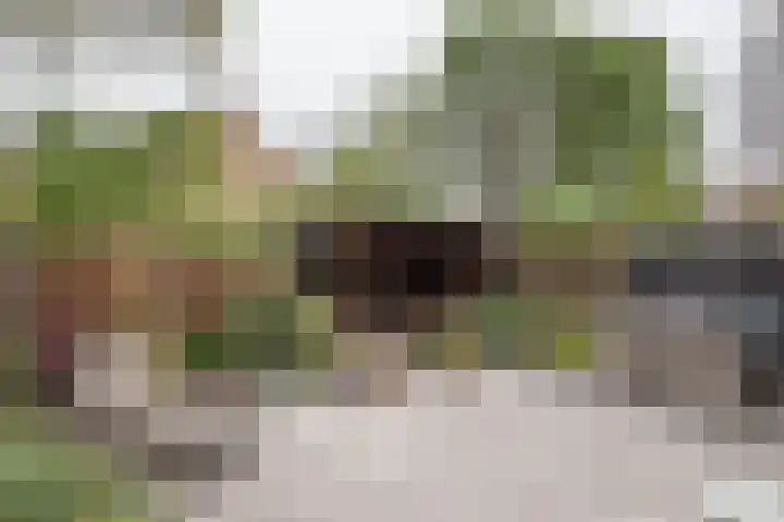 Fazant 68 Ridderkerk thumbnail 11