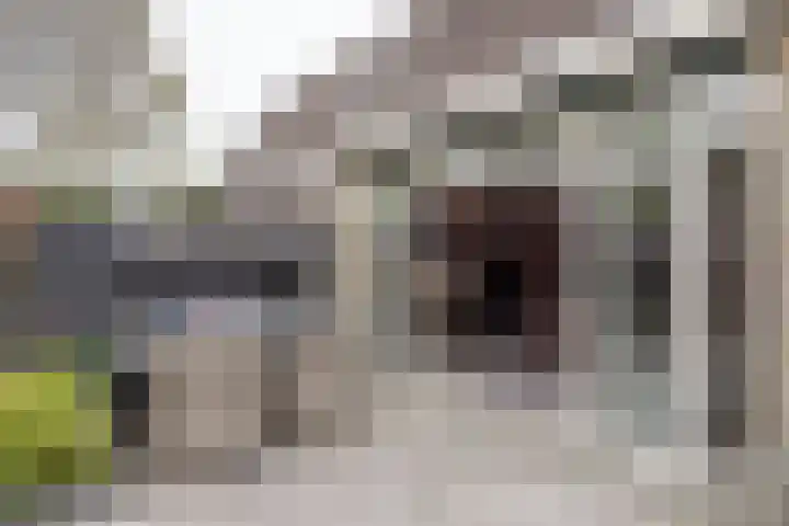 Fazant 68 Ridderkerk thumbnail 15
