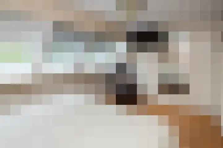 Fazant 68 Ridderkerk thumbnail 23