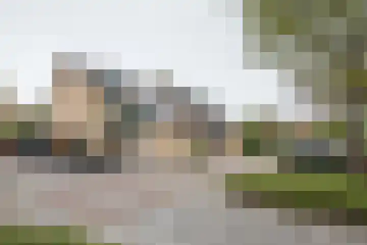 Fazant 68 Ridderkerk thumbnail 27