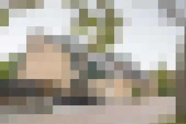 Fazant 68 Ridderkerk thumbnail 28