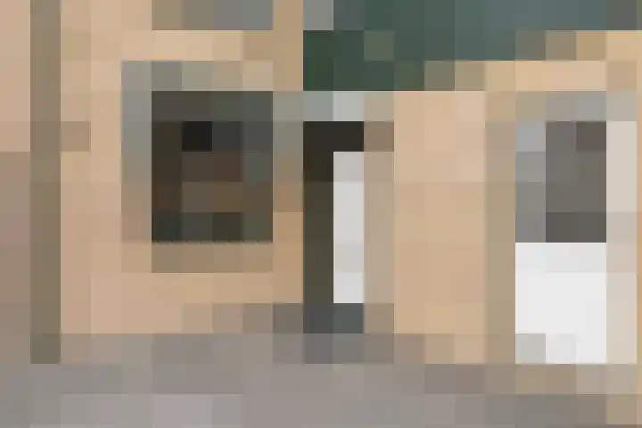 Fazant 68 Ridderkerk thumbnail 29