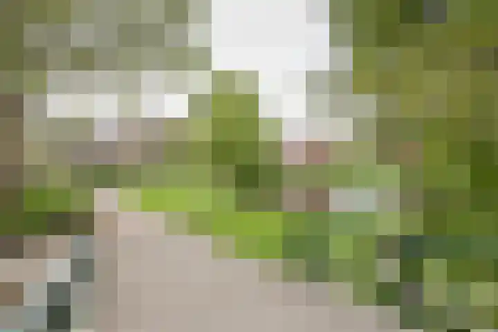 Fazant 68 Ridderkerk thumbnail 30