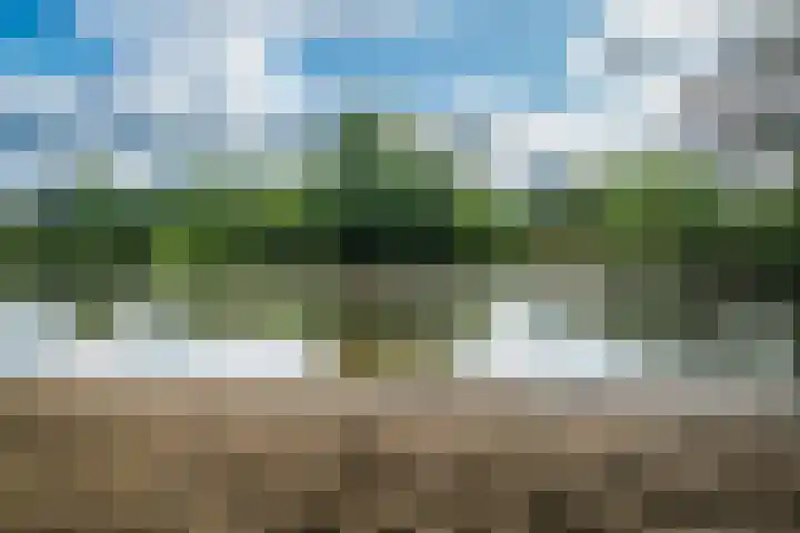 Fazant 68 Ridderkerk thumbnail 32