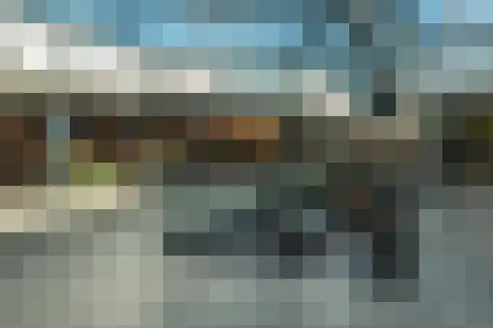 Fazant 68 Ridderkerk thumbnail 34