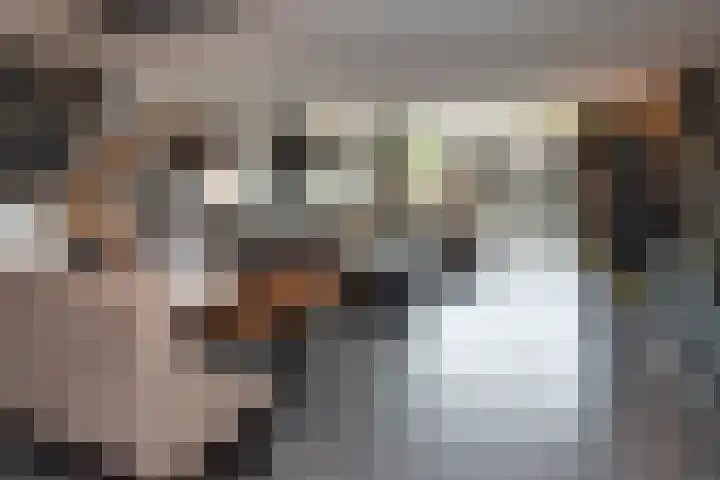 Fazant 68 Ridderkerk thumbnail 4