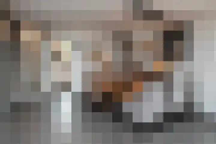 Fazant 68 Ridderkerk thumbnail 8