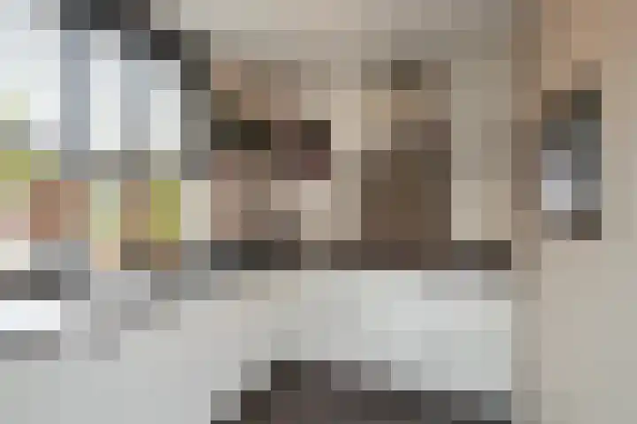 Fazant 68 Ridderkerk thumbnail 9