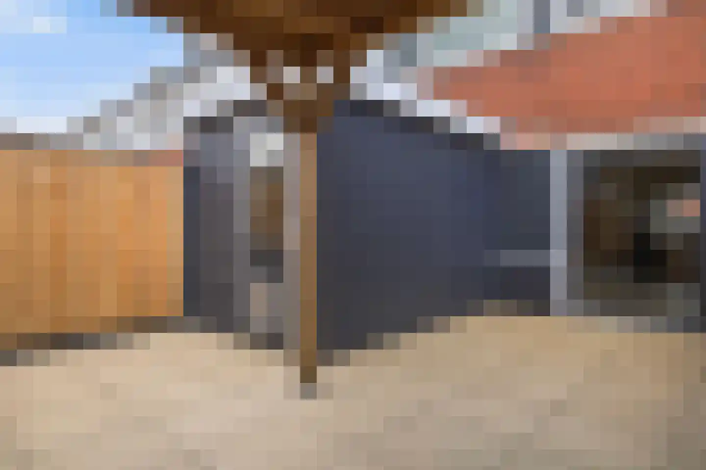 Fazant 8 Dokkum thumbnail 38