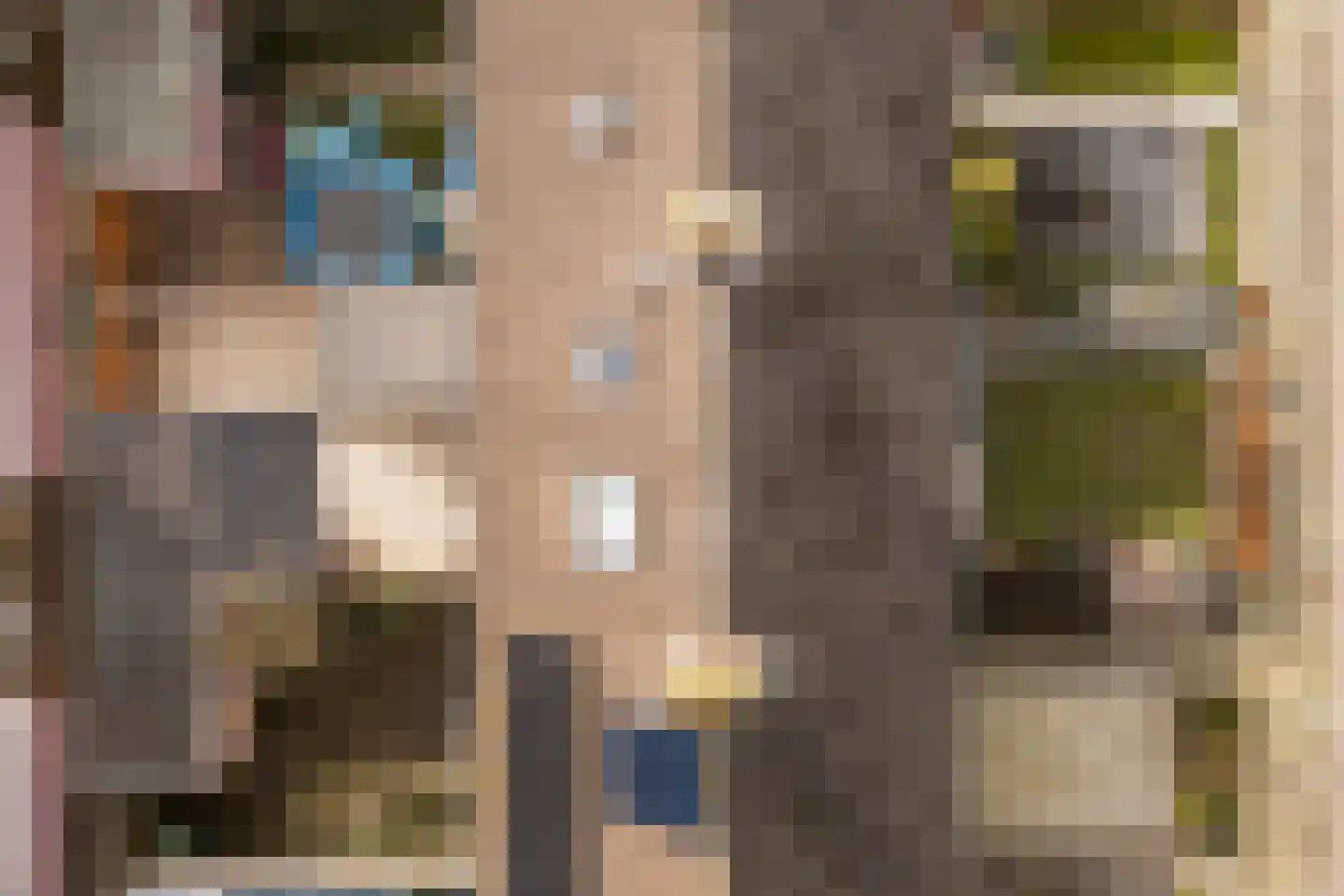 Fazant 8 Dokkum thumbnail 40