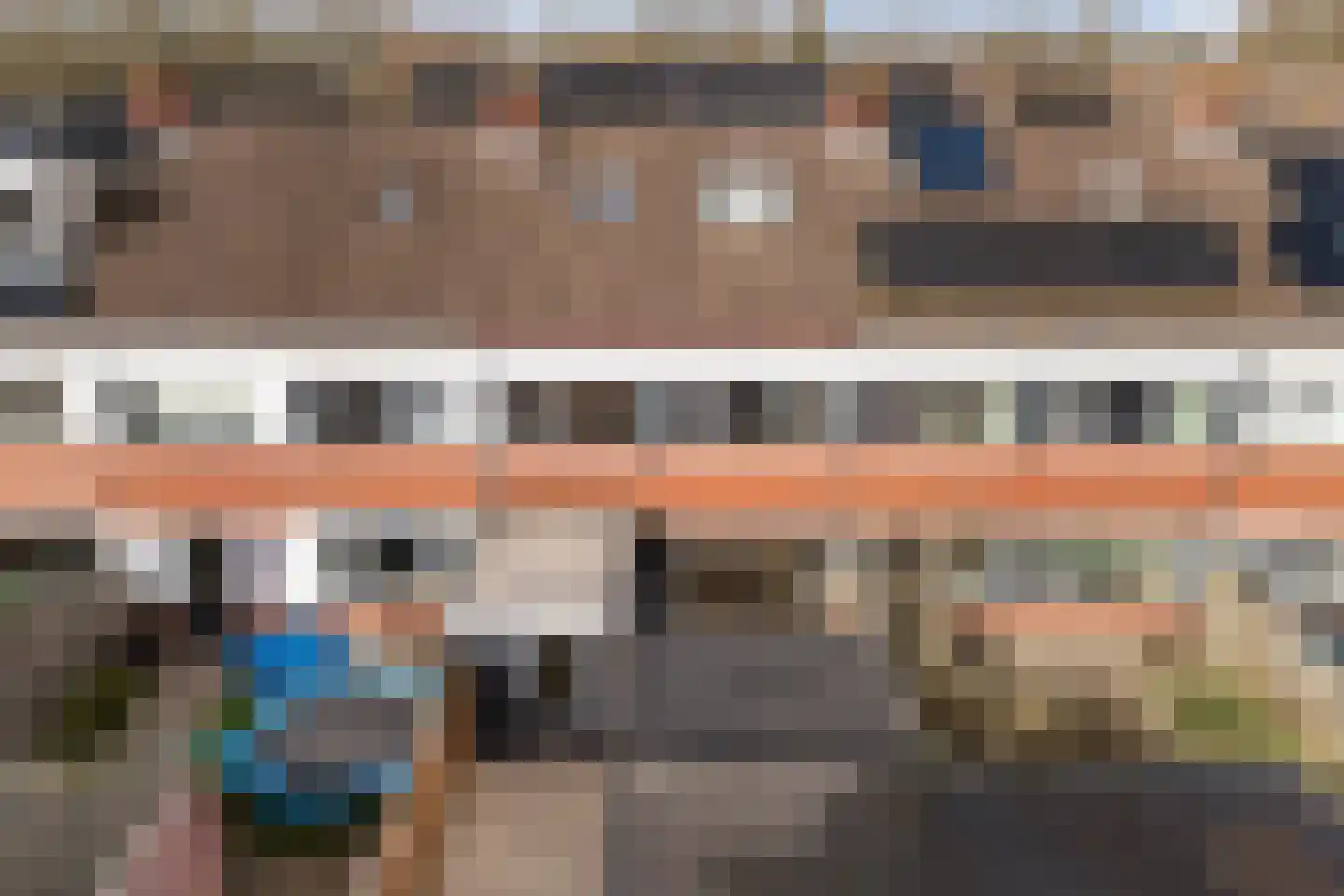 Fazant 8 Dokkum thumbnail 41
