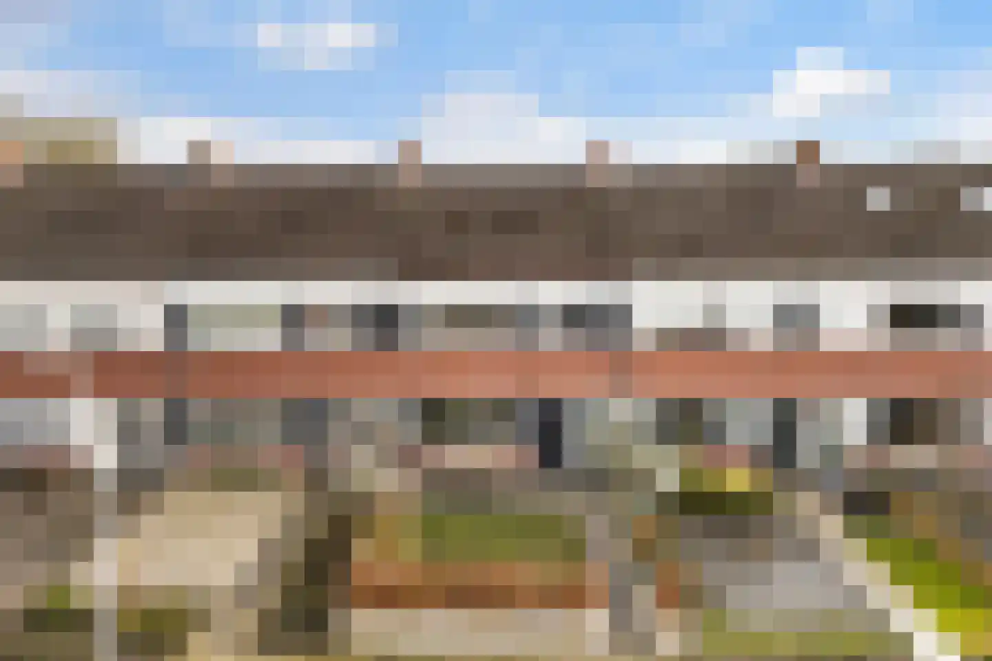 Fazant 8 Dokkum thumbnail 6