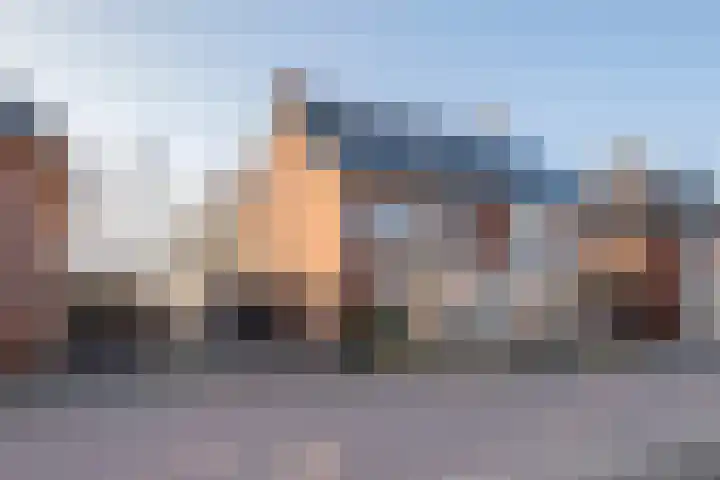 Fazant 8 Maurik