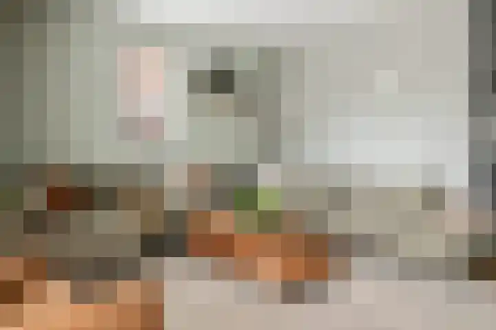 Fazant 8 Maurik thumbnail 10