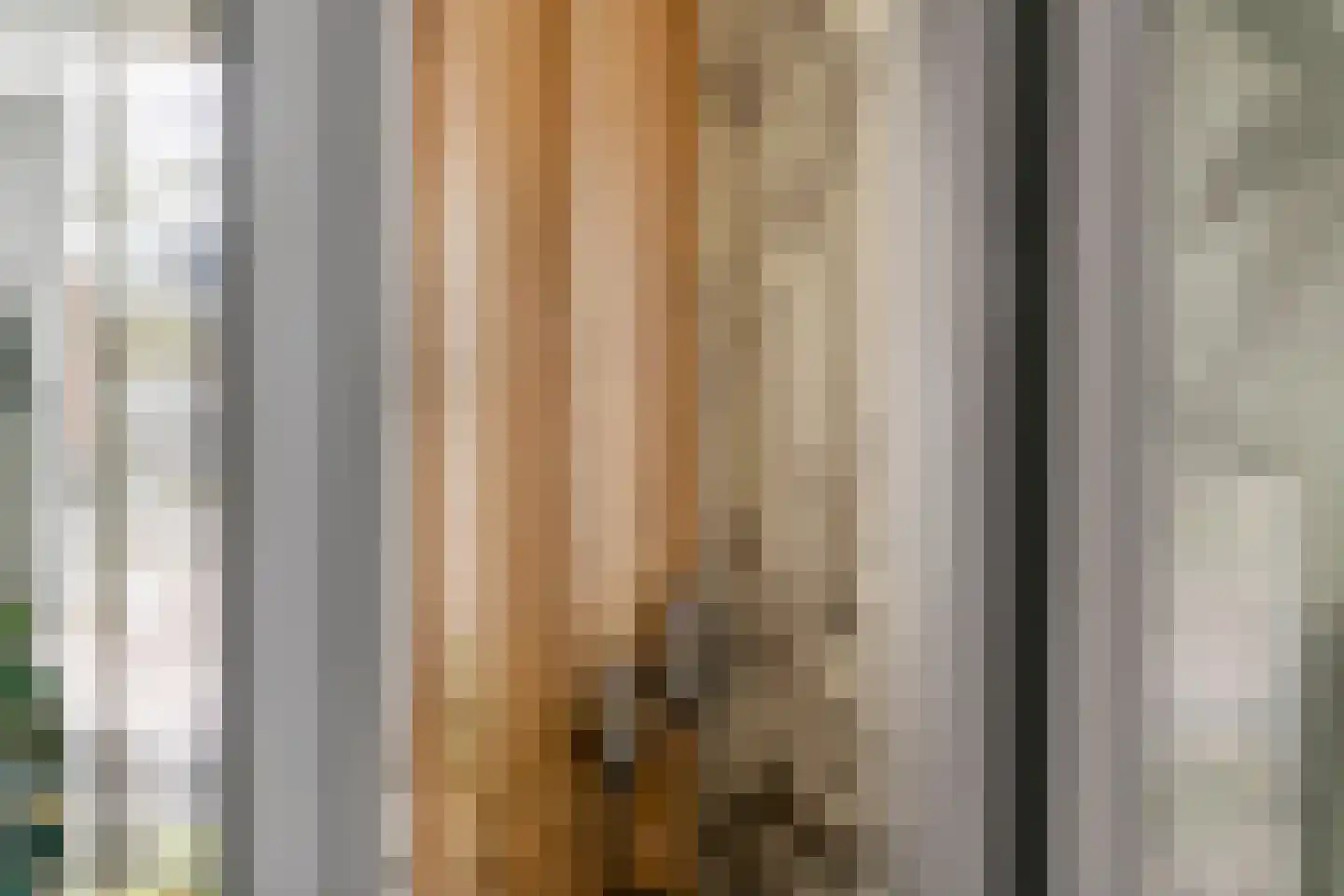 Fazant 8 Maurik thumbnail 15