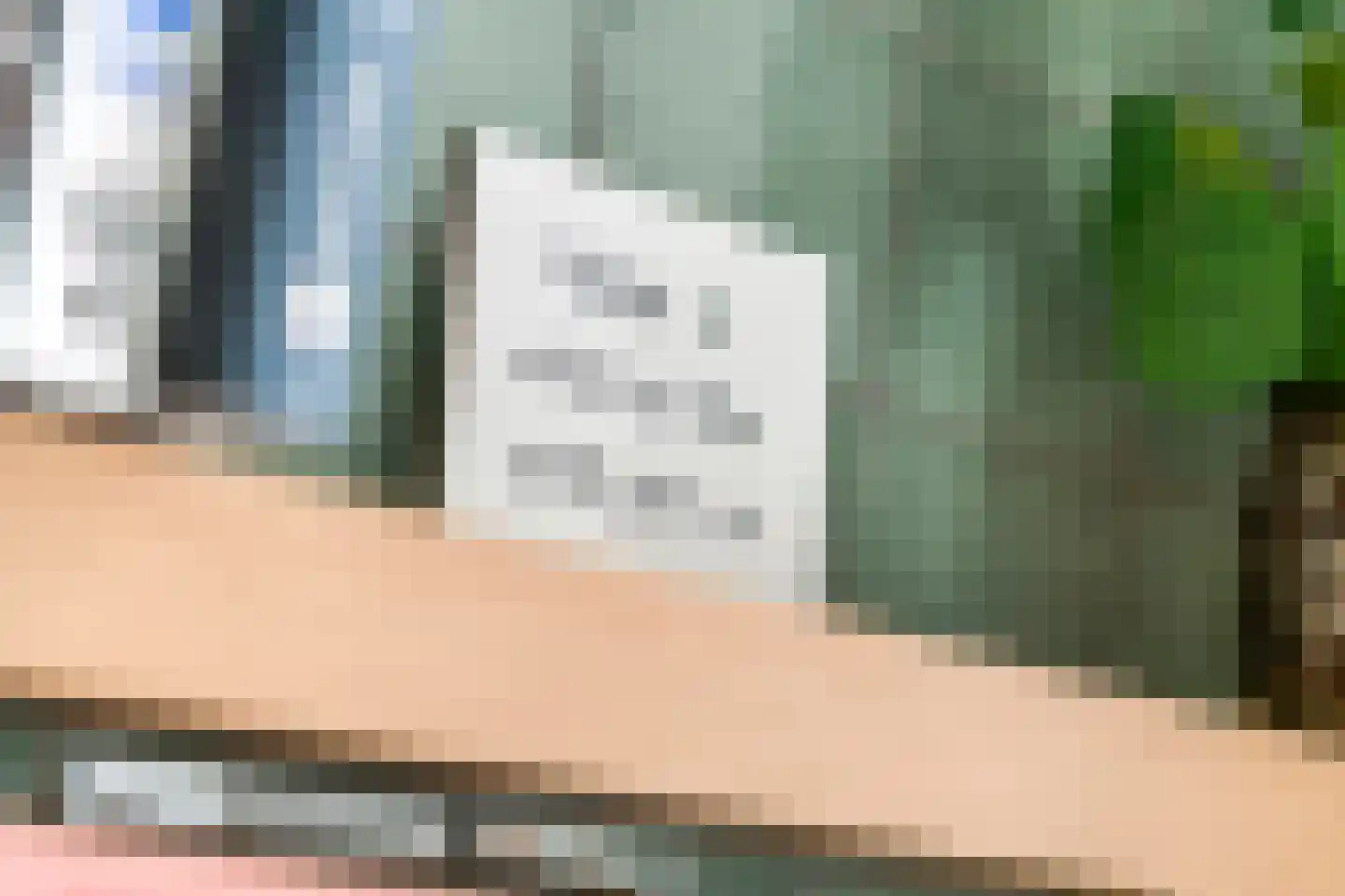 Fazant 8 Maurik thumbnail 17