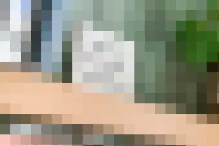 Fazant 8 Maurik thumbnail 17