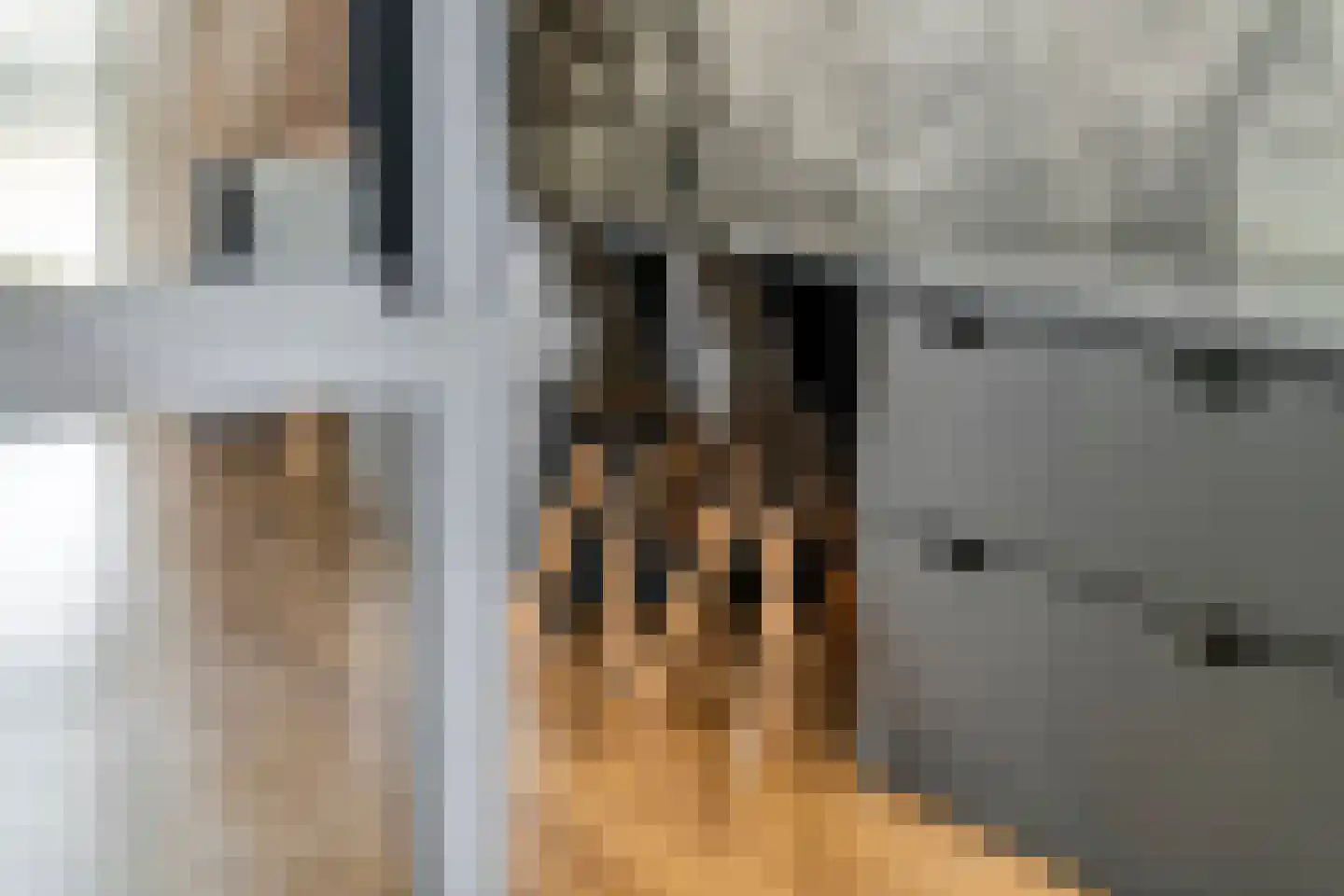 Fazant 8 Maurik thumbnail 24