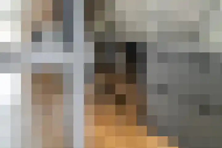 Fazant 8 Maurik thumbnail 24