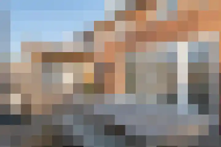 Fazant 8 Maurik thumbnail 27