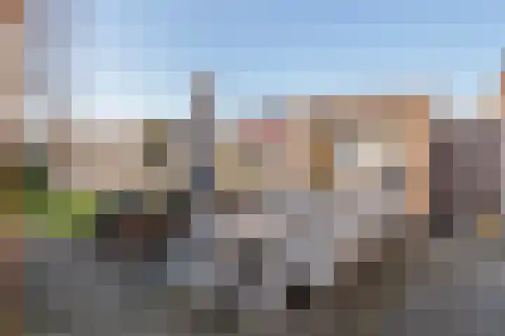 Fazant 8 Maurik thumbnail 29