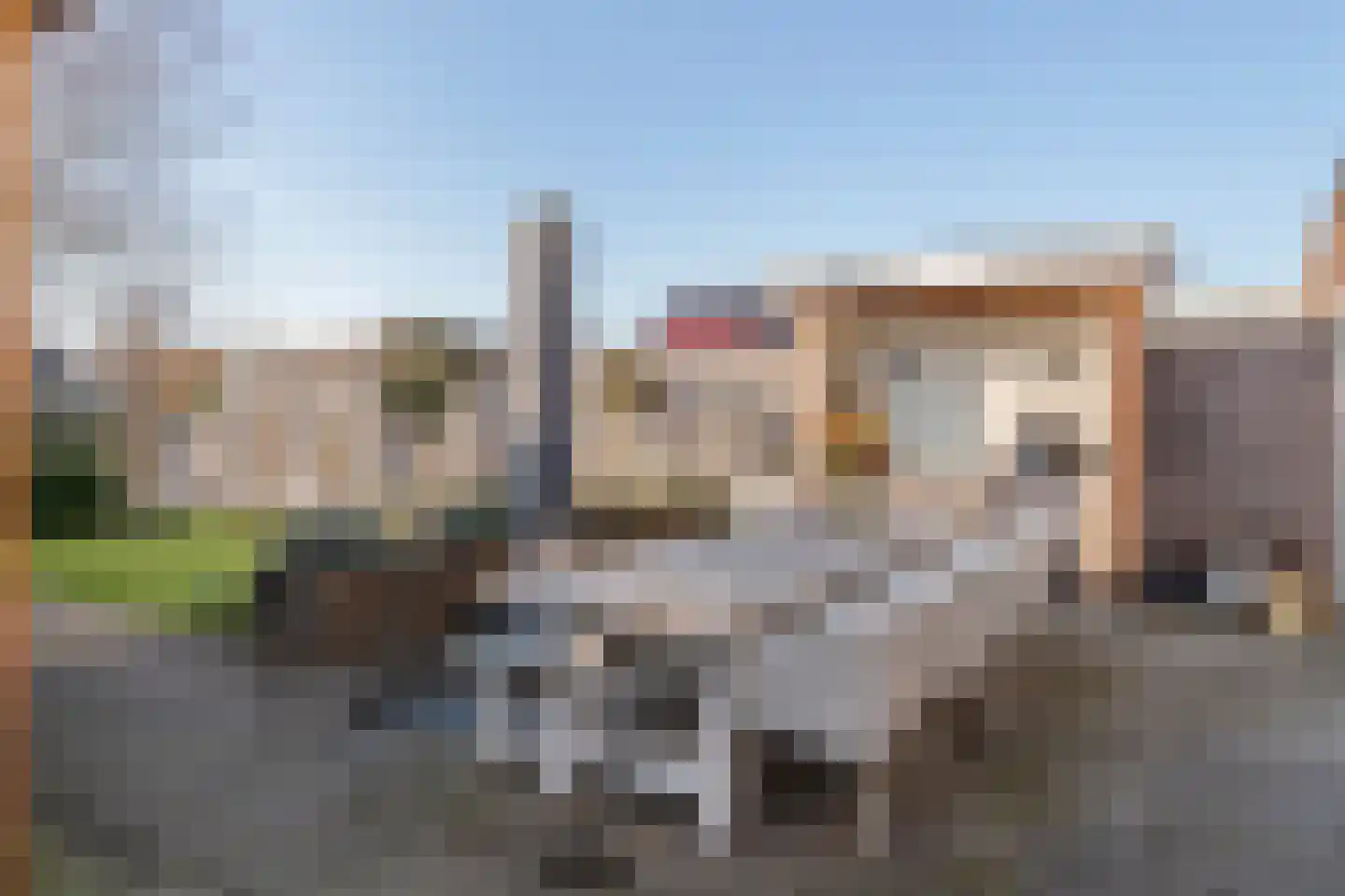 Fazant 8 Maurik thumbnail 29