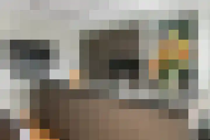Fazant 8 Maurik foto 3