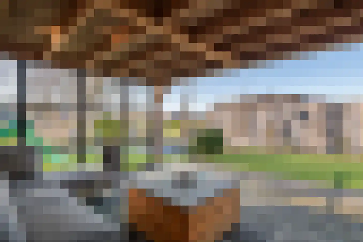 Fazant 8 Maurik thumbnail 33
