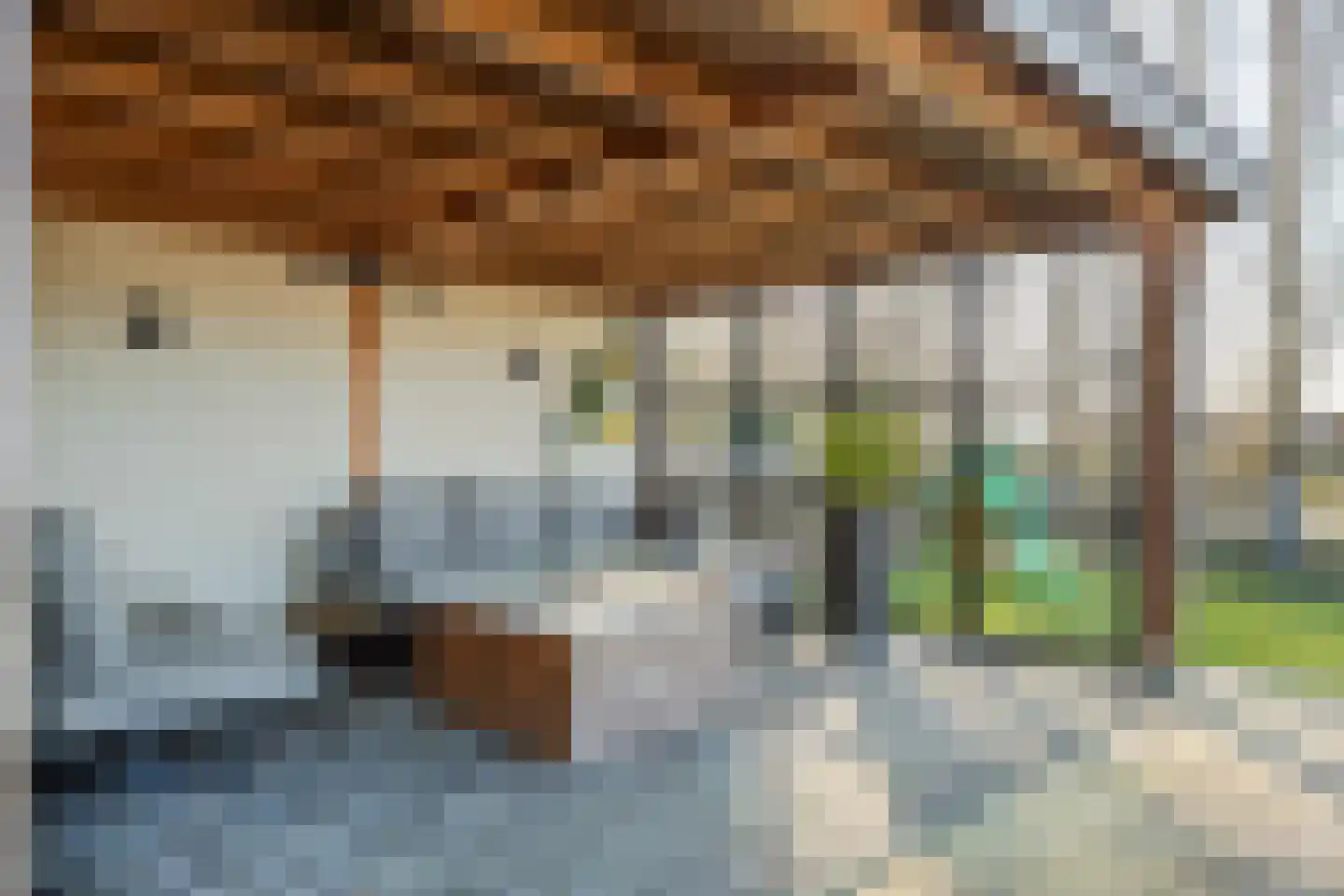 Fazant 8 Maurik thumbnail 34