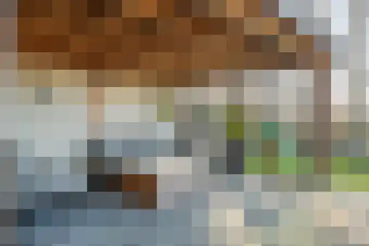 Fazant 8 Maurik thumbnail 34