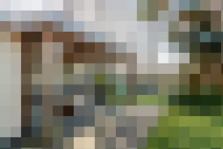 Fazant 8 Maurik thumbnail 35