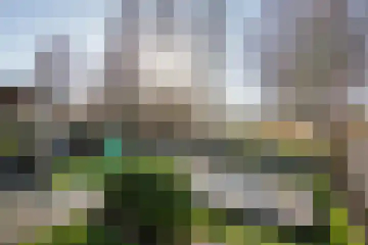 Fazant 8 Maurik thumbnail 36