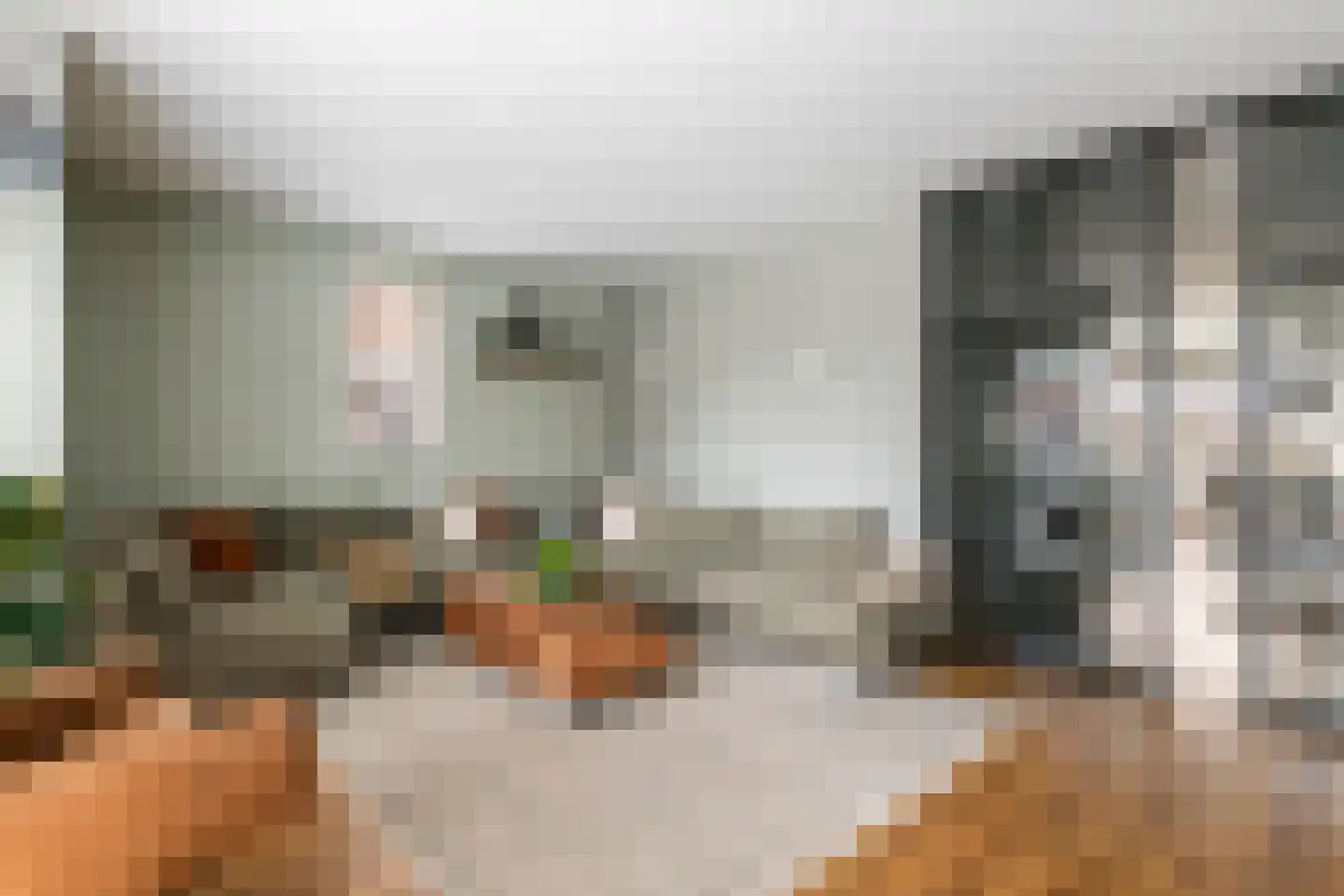 Fazant 8 Maurik thumbnail 4