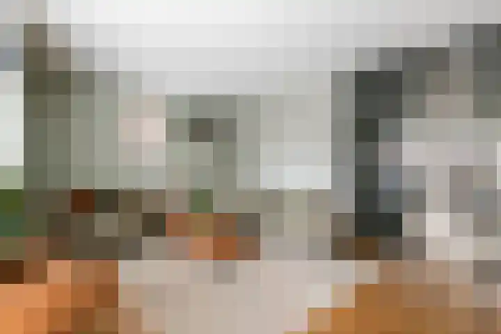 Fazant 8 Maurik thumbnail 4