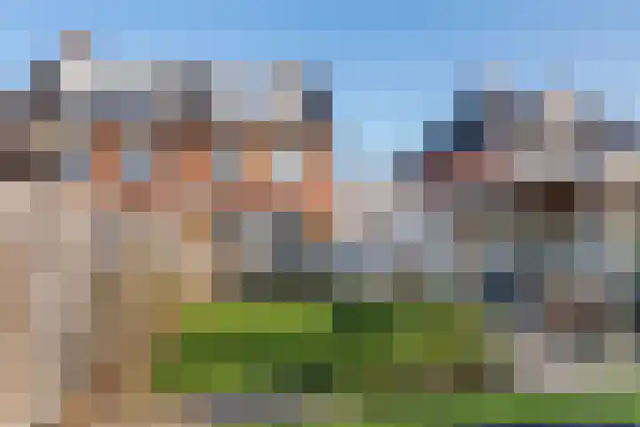 Fazant 8 Maurik thumbnail 5
