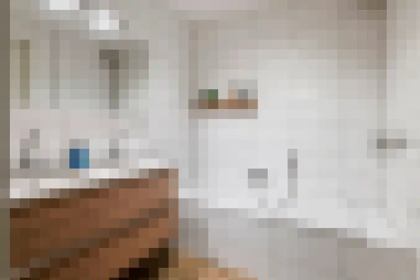Fazant 8 Maurik thumbnail 53