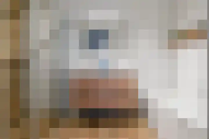Fazant 8 Maurik thumbnail 54