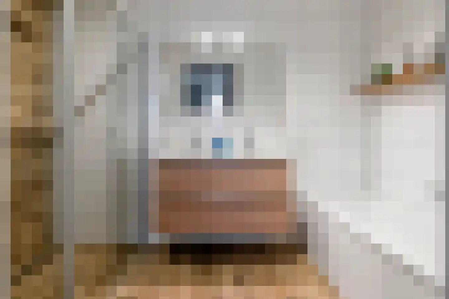 Fazant 8 Maurik thumbnail 54