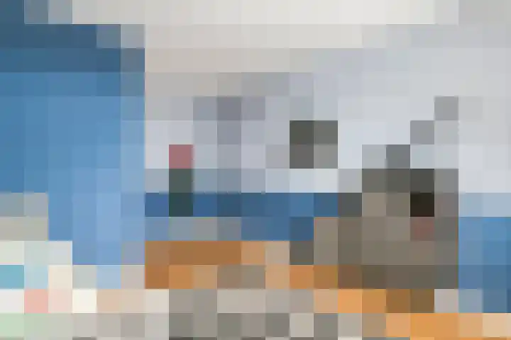 Fazant 8 Maurik thumbnail 57