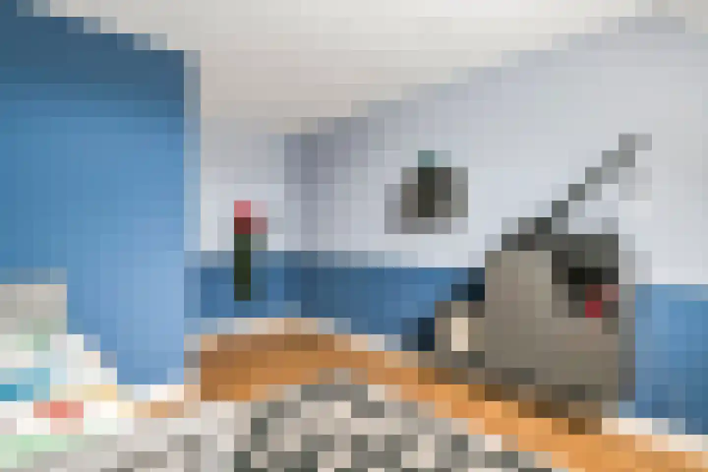 Fazant 8 Maurik thumbnail 57