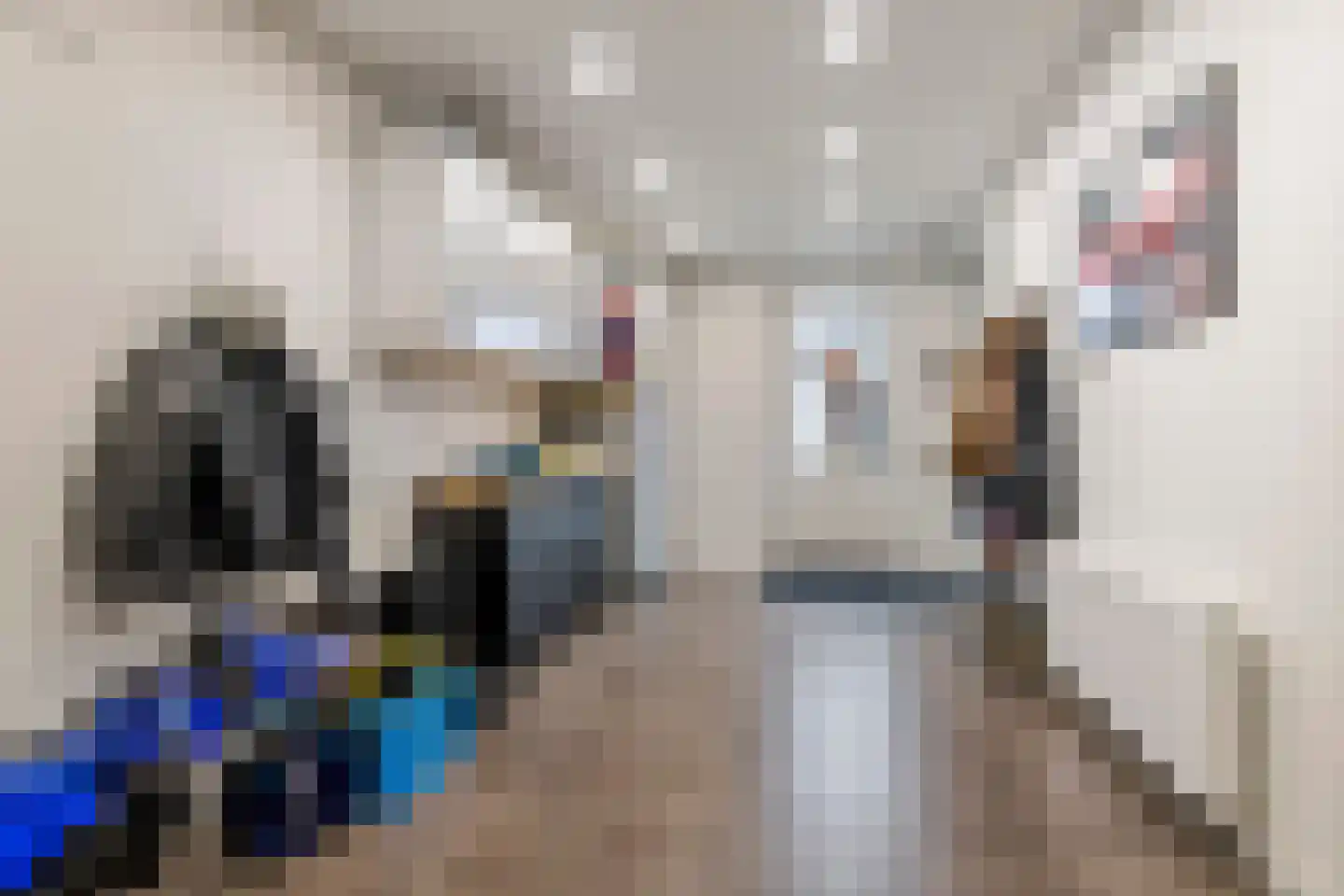 Fazant 8 Maurik thumbnail 62