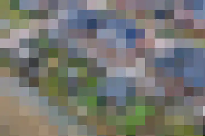 Fazant 8 Maurik thumbnail 63