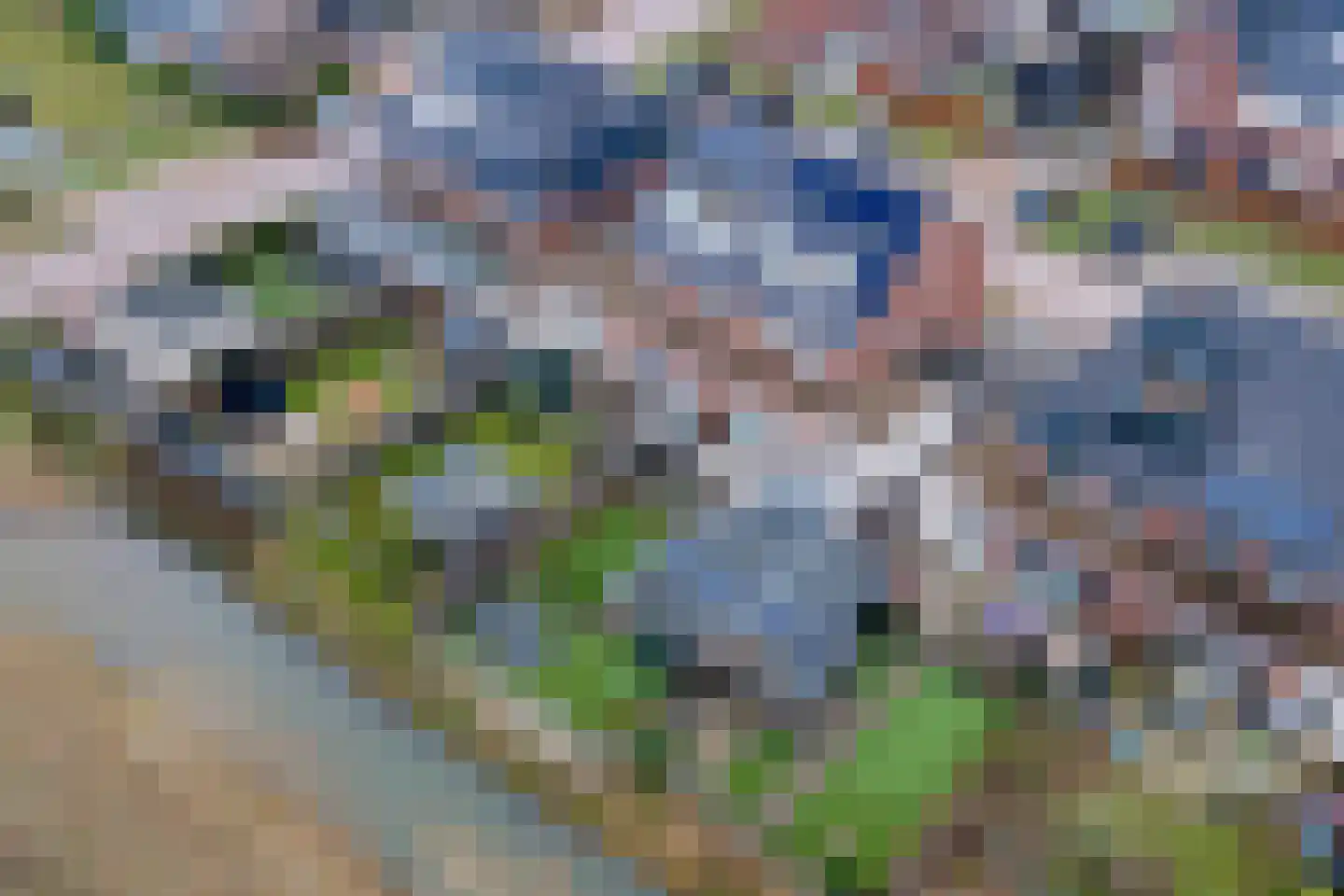 Fazant 8 Maurik thumbnail 63