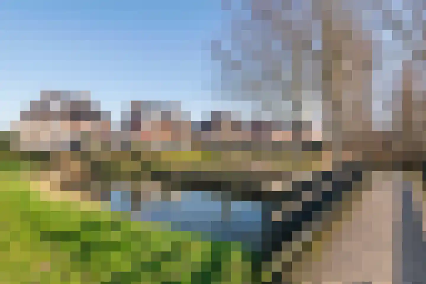 Fazant 8 Maurik thumbnail 65