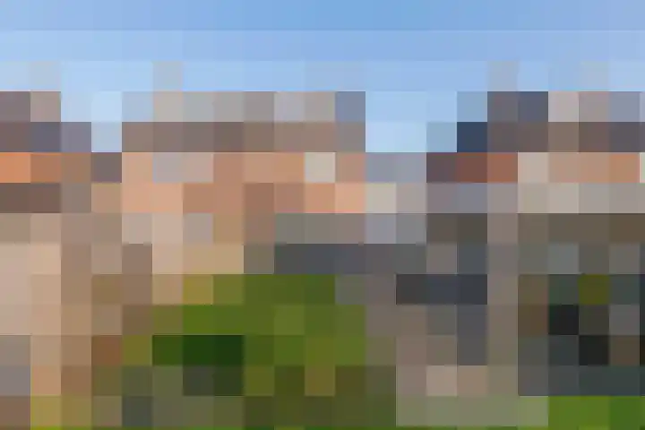 Fazant 8 Maurik thumbnail 67