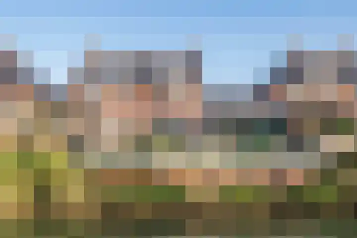 Fazant 8 Maurik thumbnail 68