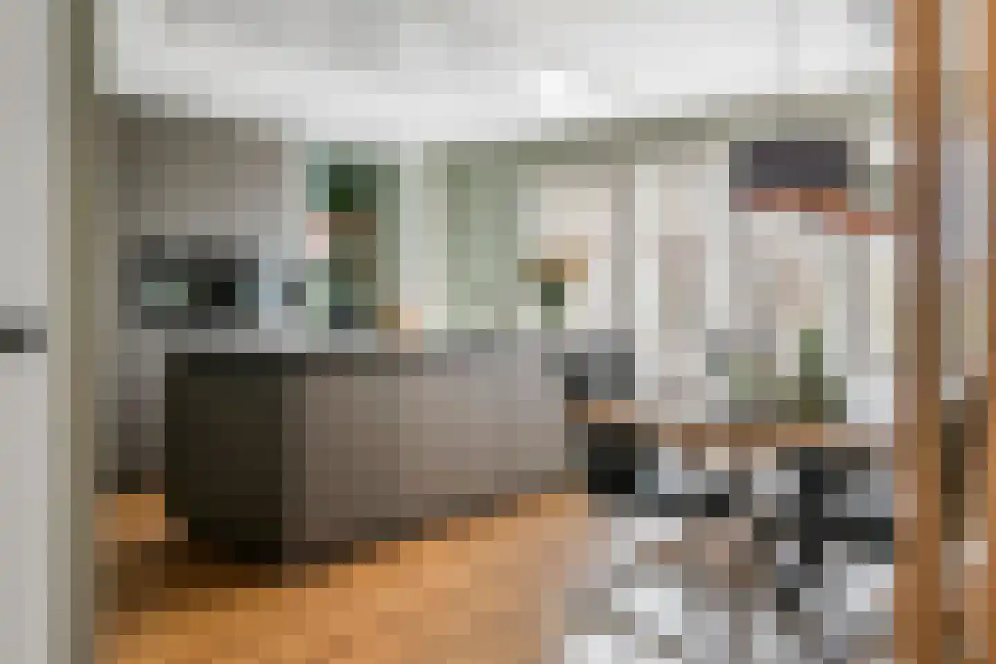 Fazant 8 Maurik thumbnail 7