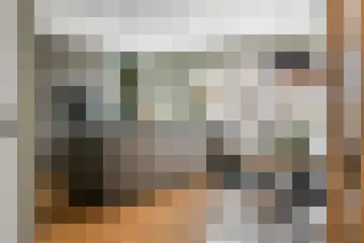 Fazant 8 Maurik thumbnail 7