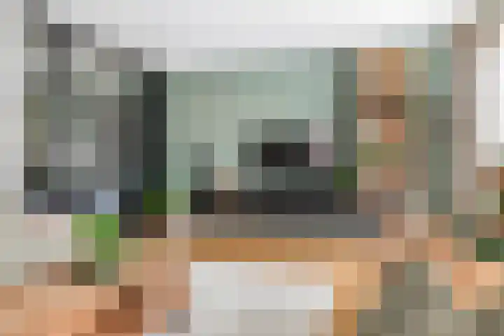 Fazant 8 Maurik thumbnail 9