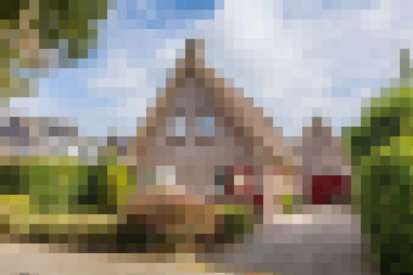 Fazant 9 in Raalte